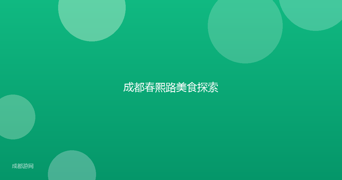 成都春熙路美食探索